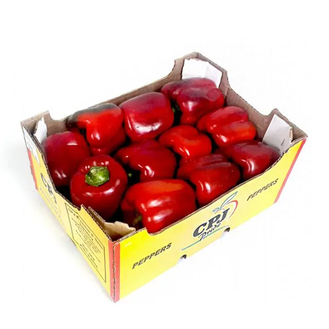 Red Tadasi (Capsicum) Box