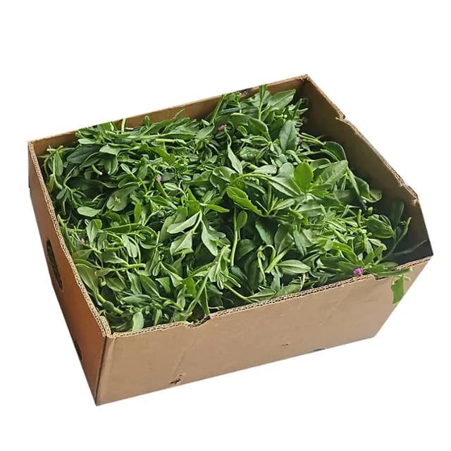 Fresh Water Leaves Box