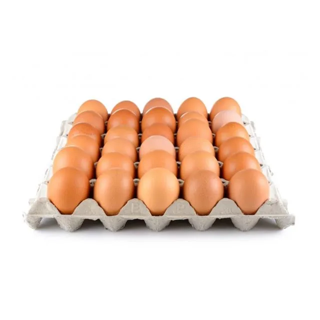 Speckled Hen (Small) Eggs X 30