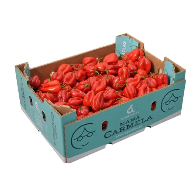 Rodo Hot Pepper Box 3kg