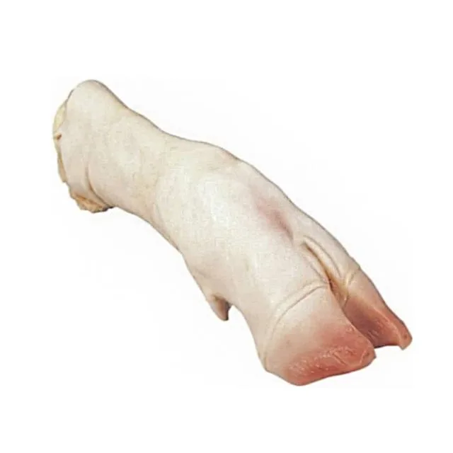 Fresh Cow Leg Medium