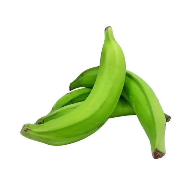Green Plantain Half Box