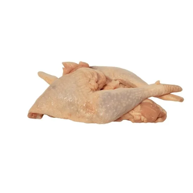 Frozen Jolly Chicken 10kg
