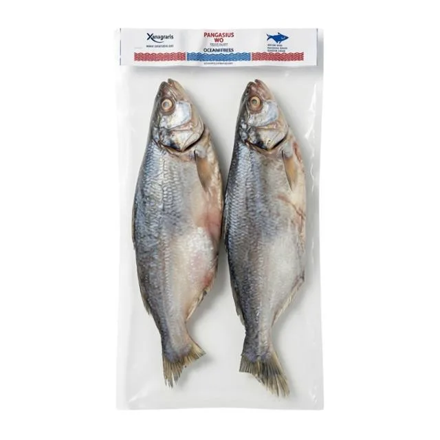 Catfish Whole Gutted 800G+ 5kg Box