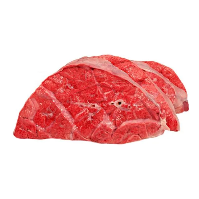 Fresh Beef Lungs
