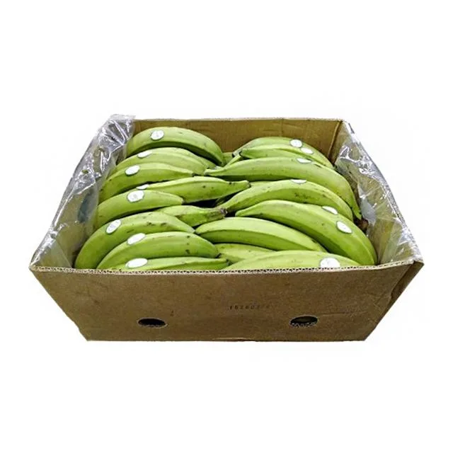 Green Plantain Box