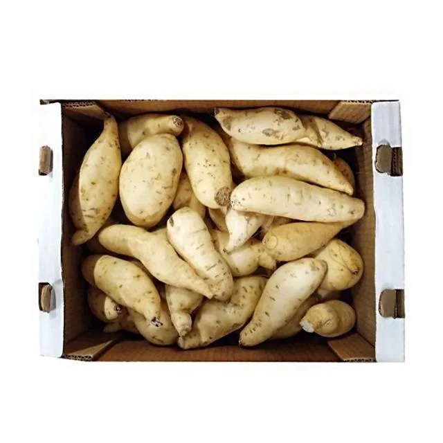 White Sweet Potato Box