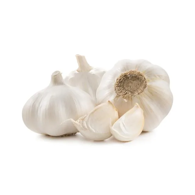 Garlic