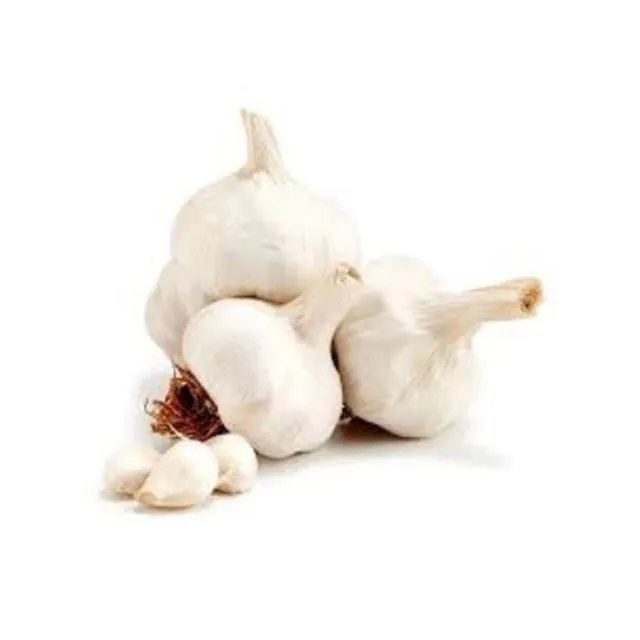 Garlic 700G pp