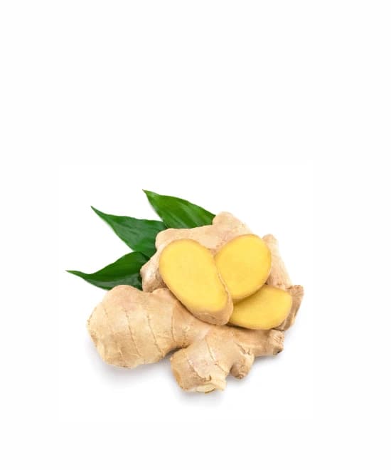 Ginger